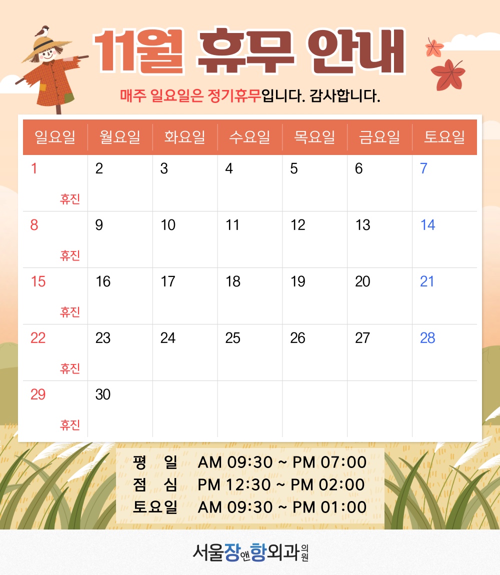 11월
